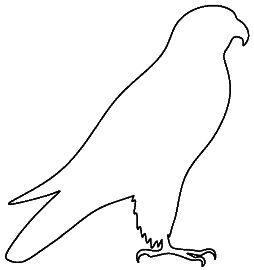 Falcon Shape